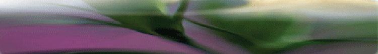 livinginthepresentmoment008002.gif